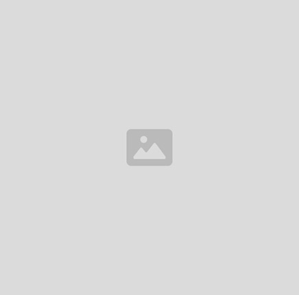 CB-083 BULK MR15267